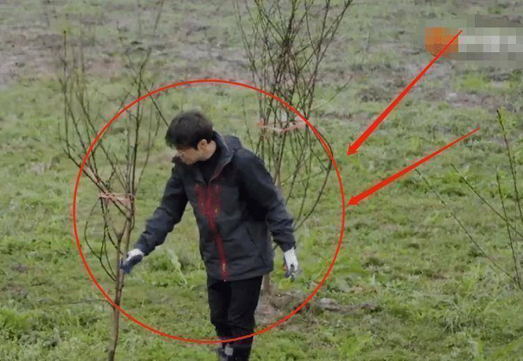 张艺兴穿白衣下田干农活被质疑作秀(图4)