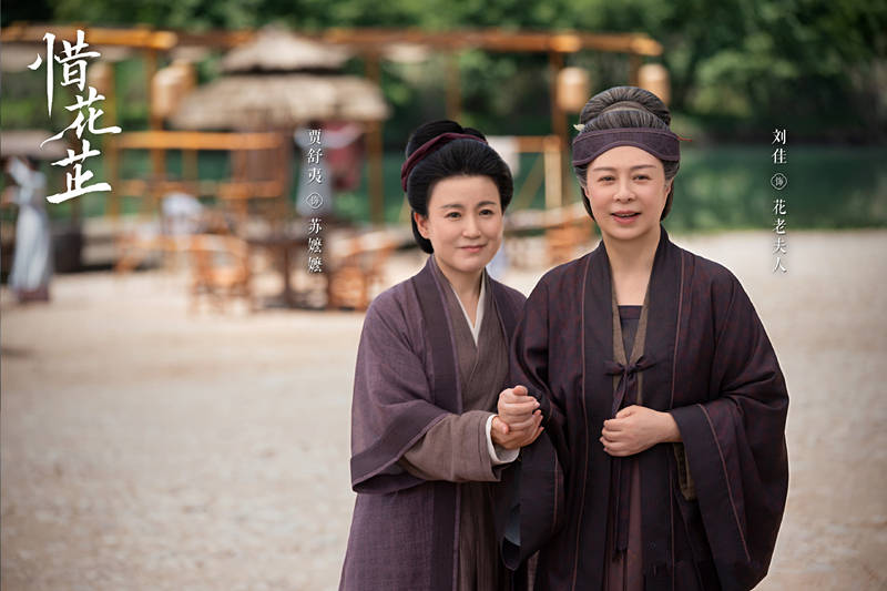 《惜花芷》首播：大女主爽剧，比较适合茶余饭后消遣使用(图3)
